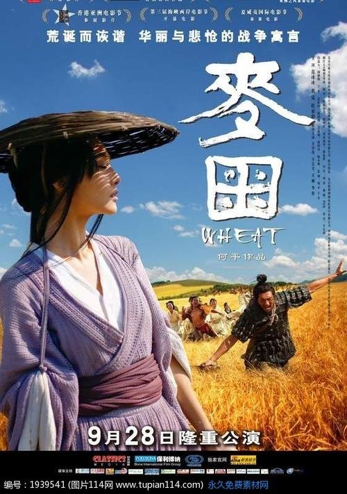 驻马店高中毕业证图片